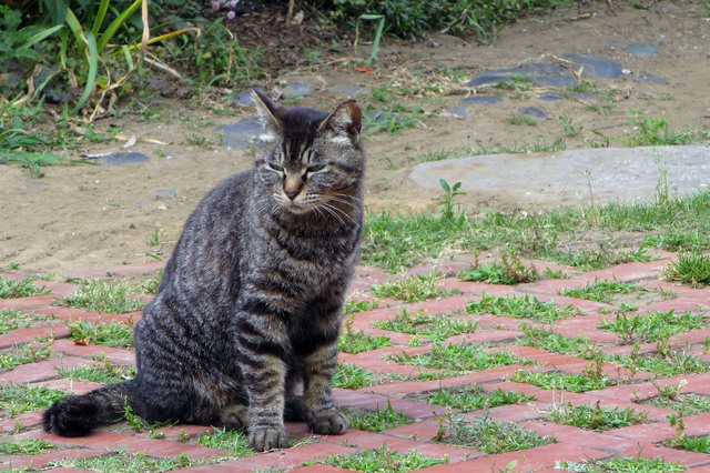 20180528_001.jpg