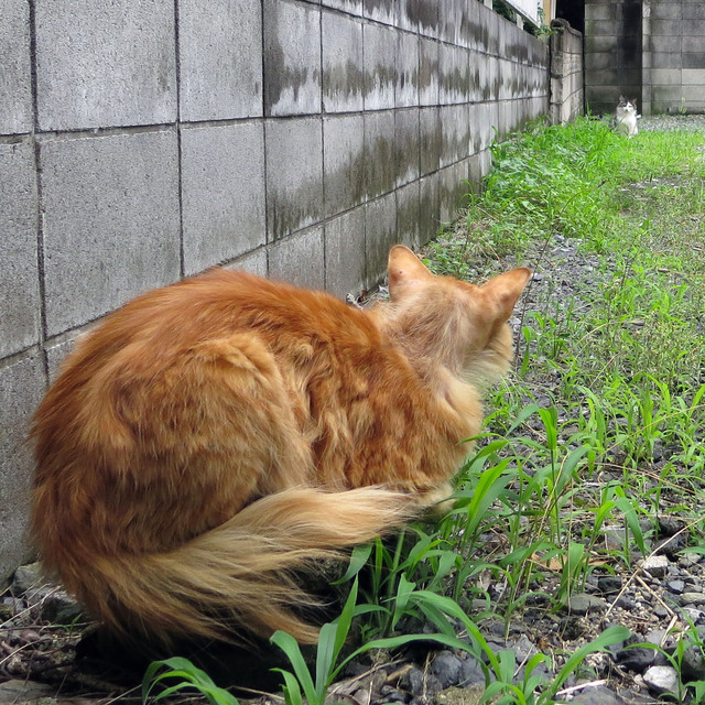 20180612_002.jpg