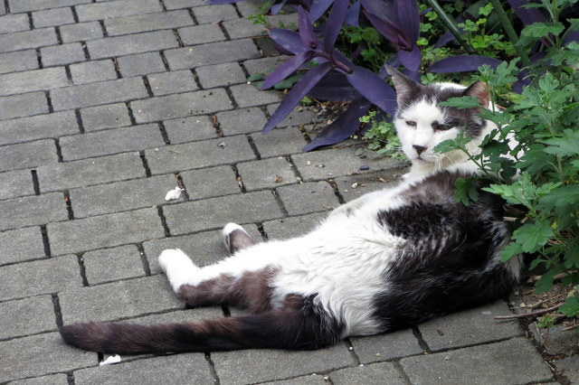 20180624_005.jpg