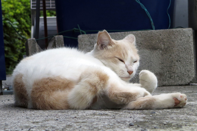 20180624_024.jpg