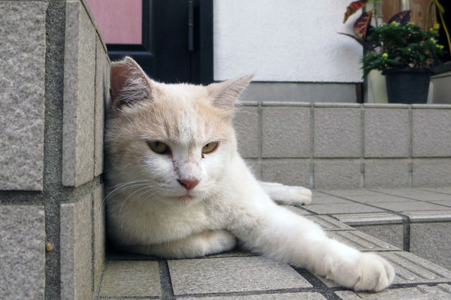 20180730_007.jpg