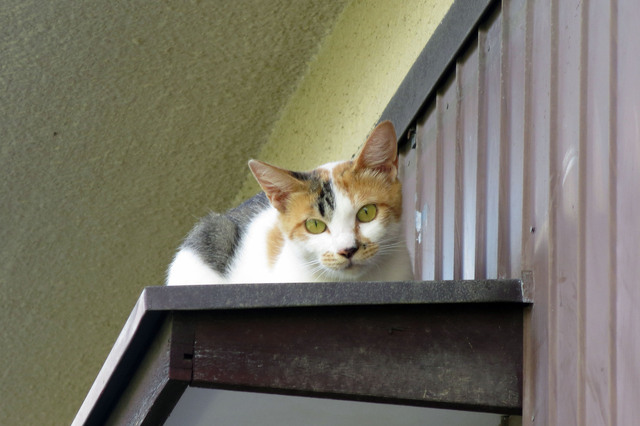 20180730_017.jpg