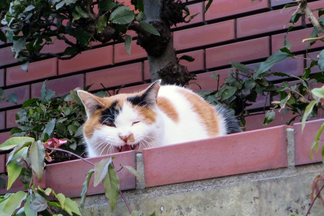 20181218_001.jpg