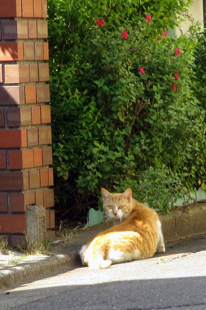20190418_001.jpg
