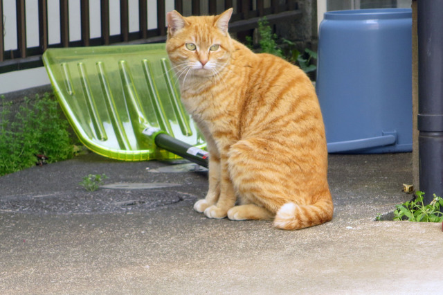 20190419_002.jpg