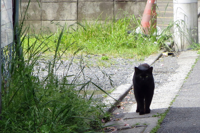 20190501_001.jpg