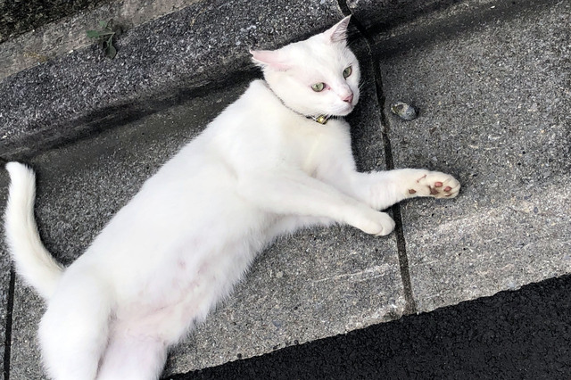 20190815_007.jpg