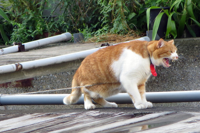 20190817_002.jpg