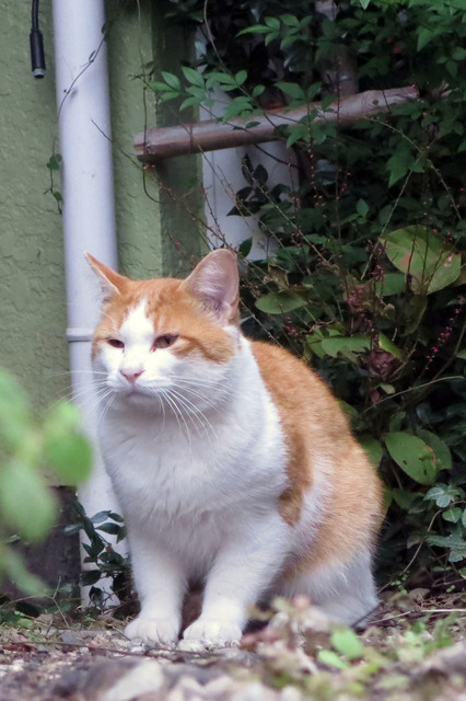 20191018_004.jpg