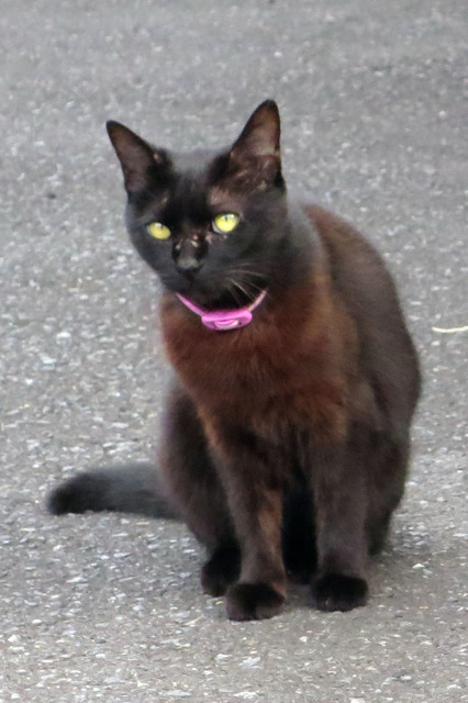 20191020_001.jpg