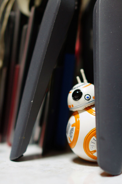 BB_8_007.jpg