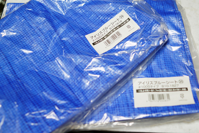 Blue_Sheet_001.jpg