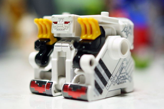 CUBE_TIGER_001.jpg