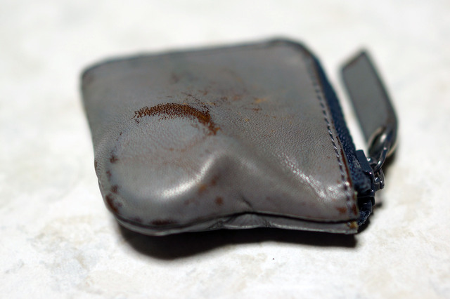 Coin_&_Earphone_Case_012.jpg