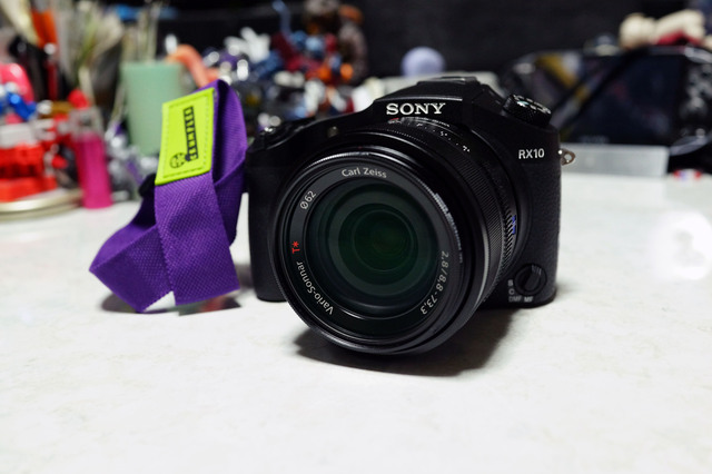 DSC_RX10_046.jpg