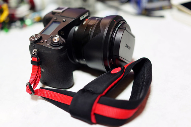DSC_RX10_047.jpg