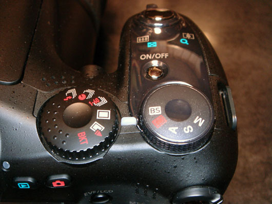 EX_F1_022.jpg