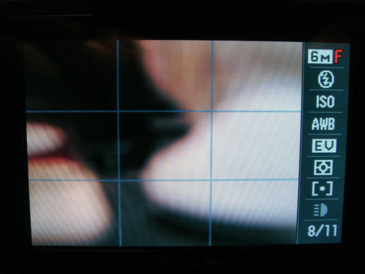 EX_F1_036.jpg