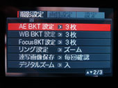 EX_F1_038.jpg
