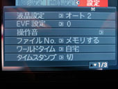 EX_F1_042.jpg