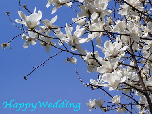 HappyWedding.jpg