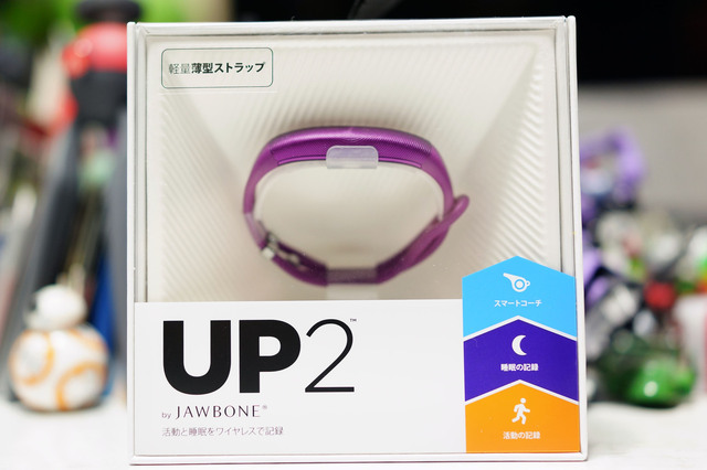 UP2_ROPE_001.jpg