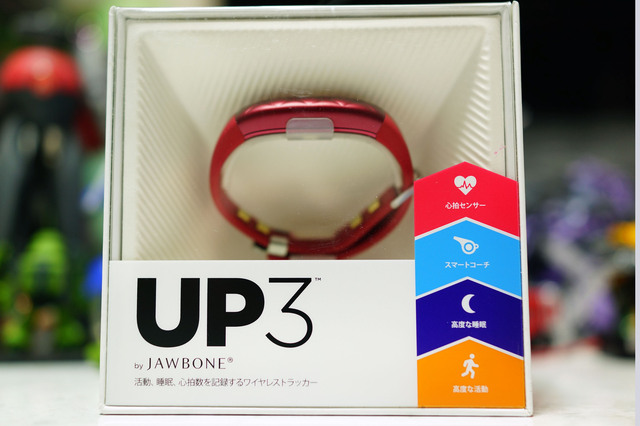 UP3_001.jpg