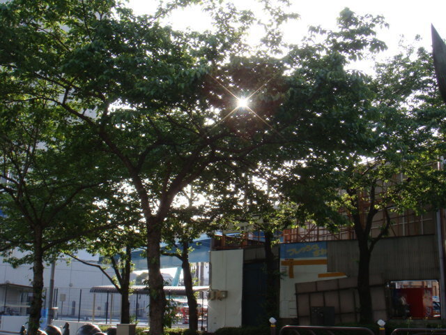 DSC00001_0050.JPG