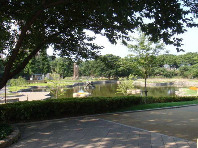 DSC00008.JPG